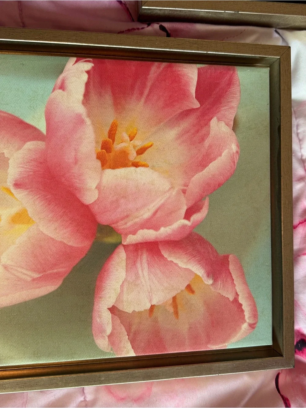 Framed Pink Floral Wall Art Pair